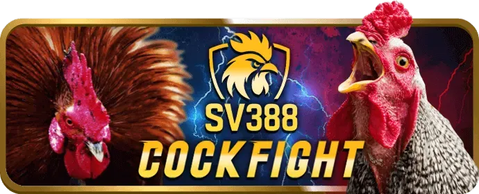 Hỗ trợ chat trực tuyến 24/7 VIP666